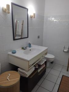 a bathroom with a sink and a toilet at Joli Studio à 5 min de la plage in Sainte-Anne +14 photos