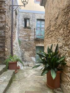ein Steingebäude mit zwei Topfpflanzen in einem Innenhof in der Unterkunft Castellabate Apartments Casa dell'Arco in Castellabate