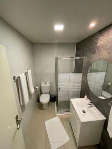 a bathroom with a toilet and a sink and a mirror at Residencial Dom Duarte in Viseu +19 photos