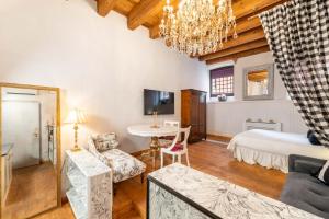 TV a/nebo společenská místnost v ubytování Garçonnière