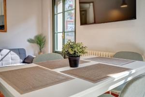 a dining room table with two mats and a potted plant on it at Dúplex Estella Centro 1 by Clabao in Estella