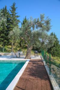 a swimming pool with a tree next to a fence at Olive Grove Luxury with private POOL in Bar