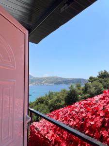 a balcony filled with red poppies at Matea Room in Himare