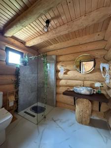 a bathroom with a glass shower in a wooden wall at Chalet in Muntii Vrancei - Gresu - Lepsa cu Ciubar si Sauna in Greşu