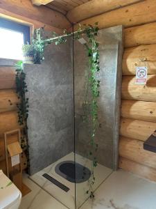 Foto sihtkohas Greşu asuva majutusasutuse Chalet in Muntii Vrancei - Gresu - Lepsa cu Ciubar si Sauna galeriist