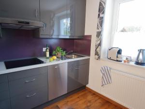 Kuchyň nebo kuchyňský kout v ubytování TS Apartments