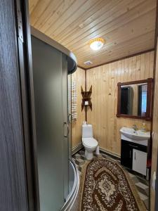 Koupelna v ubytování Садиба у Софійки