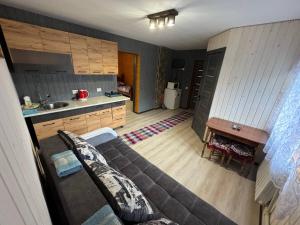 a living room with a couch and a kitchen at Садиба у Софійки in Synevyrsʼka Polyana