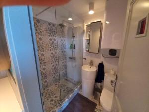 a bathroom with a shower and a toilet and a sink at Studio in Balatonlelle 45323 in Balatonlelle +6 photos