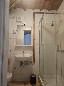 a bathroom with a sink and a shower at podere dell'ovo in Gabbro +24 photos