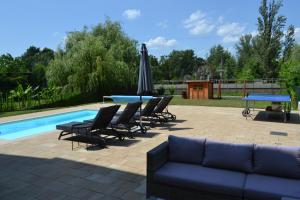 una piscina con divano, sedie e ombrellone di Krisztina Apartman Balatonberény a Balatonberény