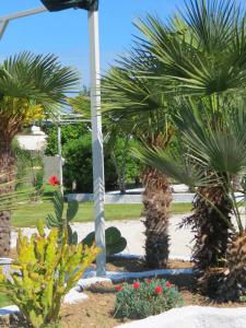 حديقة خارج Hotel Residence Villa Ascoli