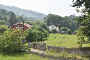 a field with a herd of cows in a field at Albergue El Caserón de Vidiago in Vidiago