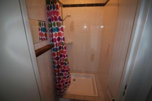 ein Bad mit Dusche und Duschvorhang in der Unterkunft Gîte Les Jonquilles IV in Le Bonhomme