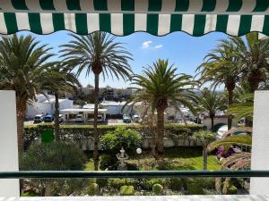 マスパロマスにあるApartment Palm Tree Viewのヤシの木が茂るリゾートのバルコニーから景色を望めます。