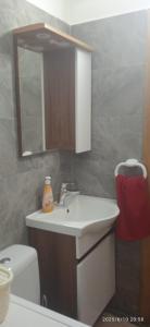 a bathroom with a sink and a toilet and a mirror at Apartman ANNA in Jajce