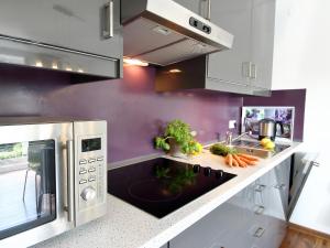 Kuchyň nebo kuchyňský kout v ubytování TS Apartments
