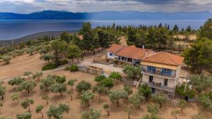 een luchtzicht op een huis met bomen en water bij Maistros Studios in Galaxidhion