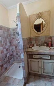 une salle de bain avec un lavabo et une douche avec un miroir dans l'établissement Lei bugadiero, à La Croix-Valmer