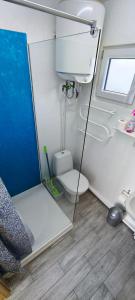 a small bathroom with a toilet and a sink at Audronašų Vilų Nameliai in Šventoji +19 photos