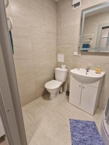 Koupelna v ubytování FB Apartaments
