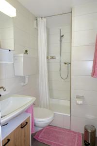 a bathroom with a shower and a toilet and a sink at Apartment Alpenblick in Saas-Grund