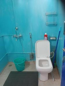 a bathroom with a toilet and a blue wall at Corn Village Cottage in Lakhwār