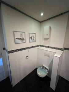 a small white bathroom with a toilet in it at Schöne Maisonette 4 Zimmer mit Garten in Rodgau +18 photos