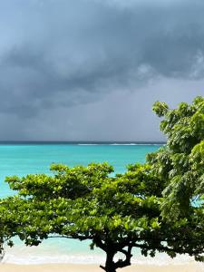 Imagem da galeria de Sazani Beach Lodge and Tidal Lounge em Nungwi