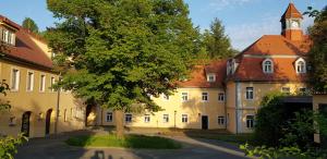 a building with a tree in the middle of a street at Schloss Friedrichstal Arabi-Ka in Bad Gottleuba