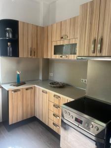 Kuhinja ili čajna kuhinja u objektu Dunav 11