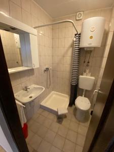 a small bathroom with a toilet and a sink at Apartments Deli in Vrsi