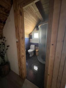 Koupelna v ubytování Casa Bujanovski