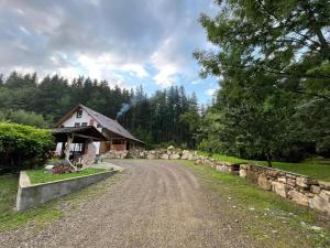a dirt road in front of a house at Casa Bujanovski in Voivodeasa