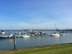 a bunch of boats docked in a harbor at Inselnest in Langeoog +7 photos