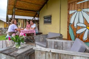 Hosté ubytování Hoeve Linnerveld XL