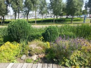 Zahrada ubytování Parel in Makkum