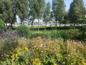 Zahrada ubytování Parel in Makkum