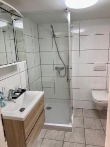 ein Badezimmer mit Dusche, Waschbecken und Toilette in der Unterkunft Zwei Zimmer Wohnung mit Küche in Kuchen