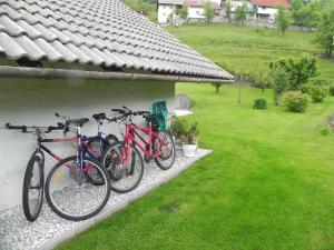 Jízda na kole v ubytování Apartments Vesna nebo okolí