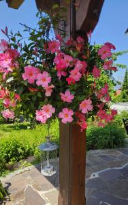 a planter with pink flowers on a wooden post at Ferienhaus Hombergshalden in Geisingen