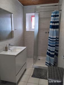 a bathroom with a shower and a sink and a shower curtain at La Vallée De La Loire in Solignac-sur-Loire