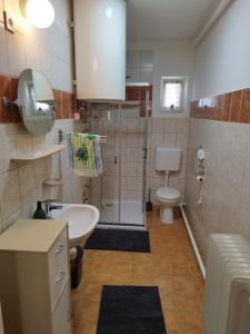 a bathroom with a shower and a sink and a toilet at Rozi vendégház in Szólád +2 photos