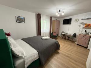 een slaapkamer met een bed, een tafel en stoelen bij Candy-Bombon Sibiu in Sibiu