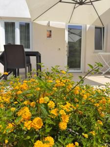 Κήπος έξω από το Galaxy Rooms Tropea