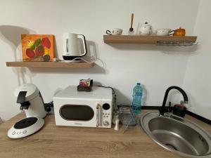 een magnetron op een aanrecht naast een wastafel bij Candy-Bombon Sibiu in Sibiu +5 foto's