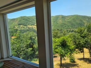 Gallery image of Vila Horizont Premium in Ovčar Banja +4 photos