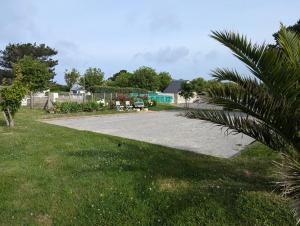 a driveway in a yard with a palm tree at Maison 86 Les Océanes in Damgan +5 photos