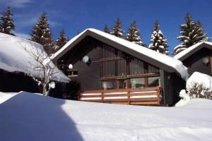 a house in the snow with snow covered trees at Ferienhaus Bernau13, Rechbergblick in Bernau im Schwarzwald