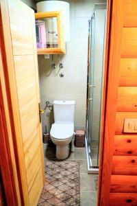 un bagno con wc e doccia in vetro di Magical Log House a Virpazar